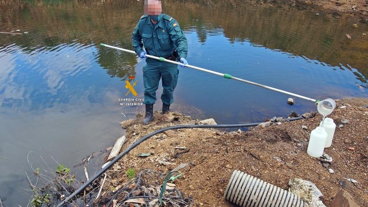 Toma de muestras por la Guardia Civil
