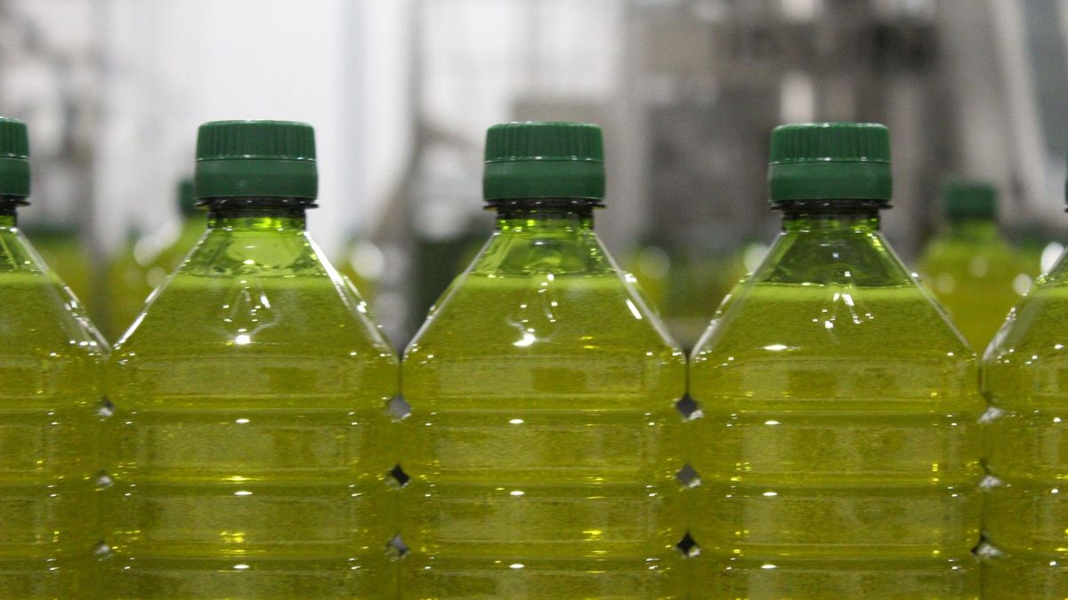 La cosecha de aceite de oliva se dispara y Competencia reclama no retirar producto del mercado porque daña al consumidor