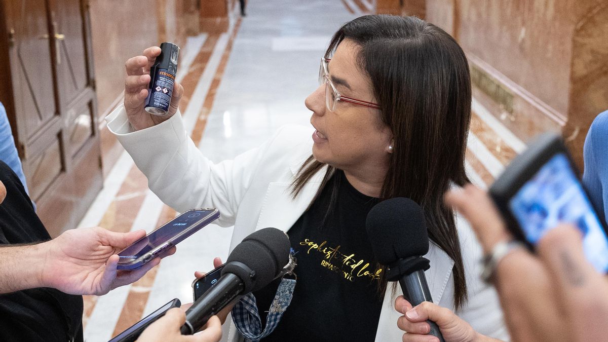 Los letrados del Congreso avalan la apertura de un expediente sancionador a la diputada del PP que llevó spray de pimienta