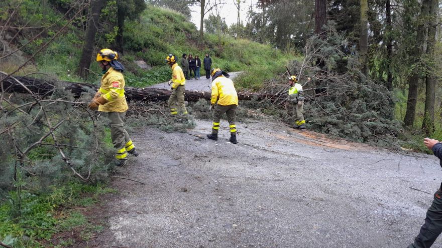 El Gobierno andaluz encara una denuncia del sindicato mayoritario de bomberos por orillarles de la negociación colectiva