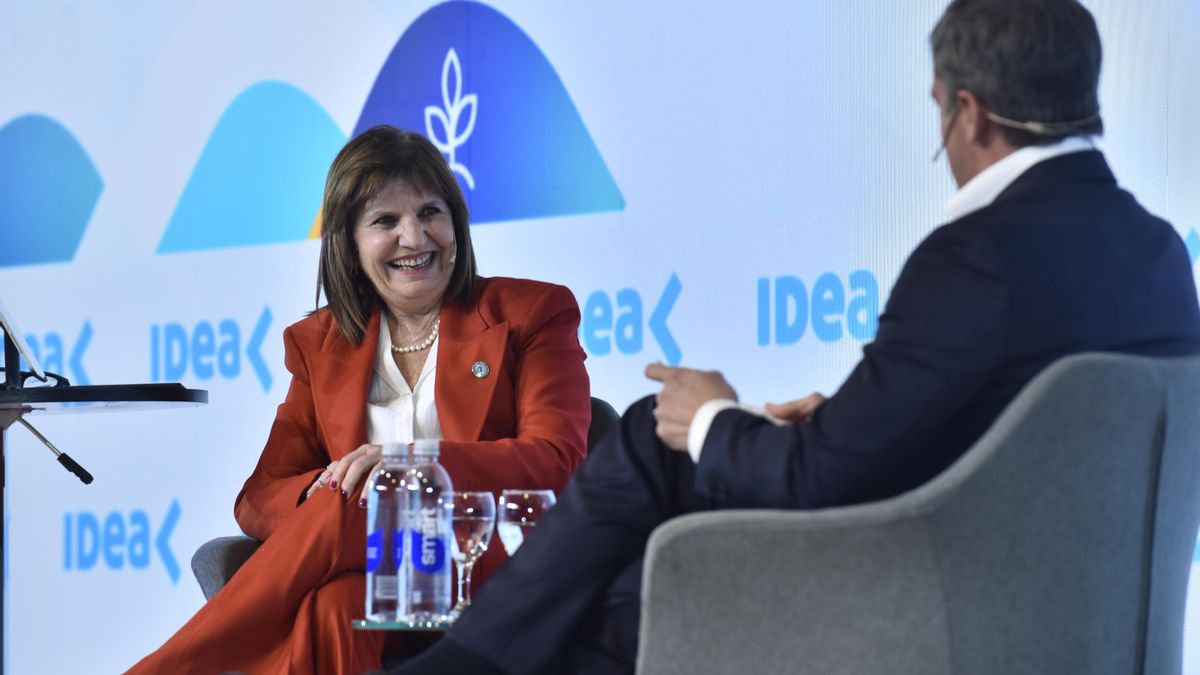 Bullrich, en el coloquio de IDEA.