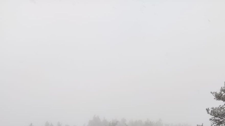 Rescatan a un grupo de 19 scouts extraviados en el monte en La Rioja