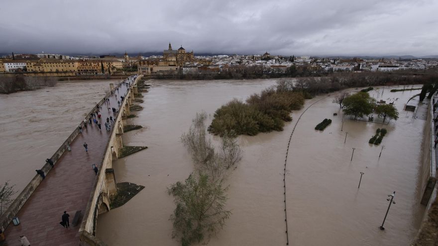 El río Guadalquivir supera, a su paso por Córdoba capital, los cinco metros de crecida de su caudal desbordando sus márgenes. A 6 de febrero de 2026 en Córdoba (Andalucía, España).