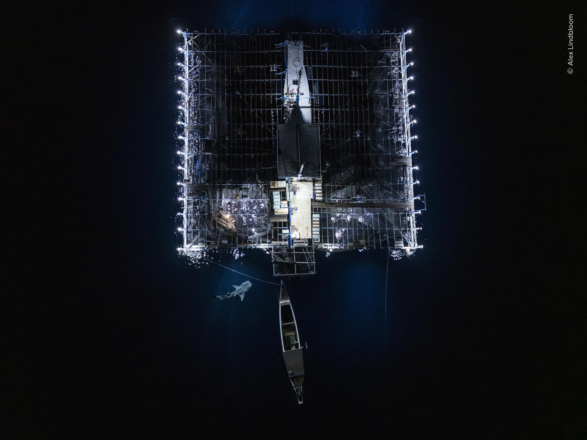 'Captura nocturna', Premio Océanos: panorama amplio