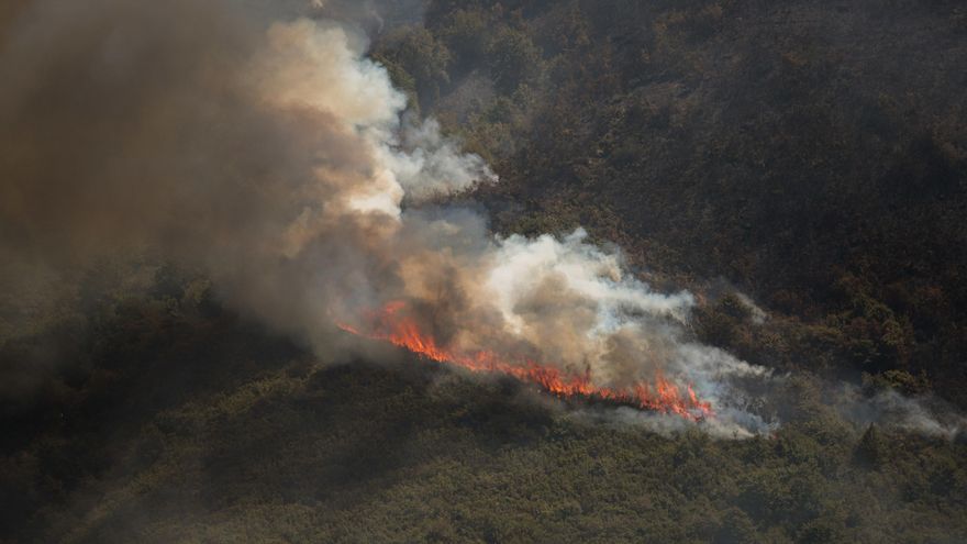 Efectivos aéreos de los bomberos durante las labores de extinción del un incendio forestal