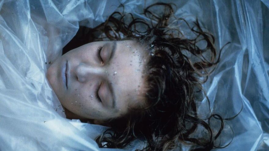 El doble fondo de Aira, 'Twin Peaks' vuelve