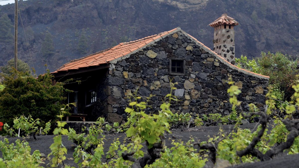 Los vinos de La Palma conquistan la prensa internacional con un reportaje en ‘Spanich Wine Lover’