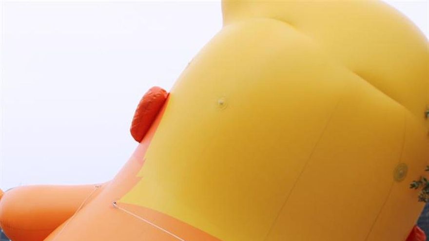 Un "bebé" Trump desata tensión entre seguidores y partidarios del presidente