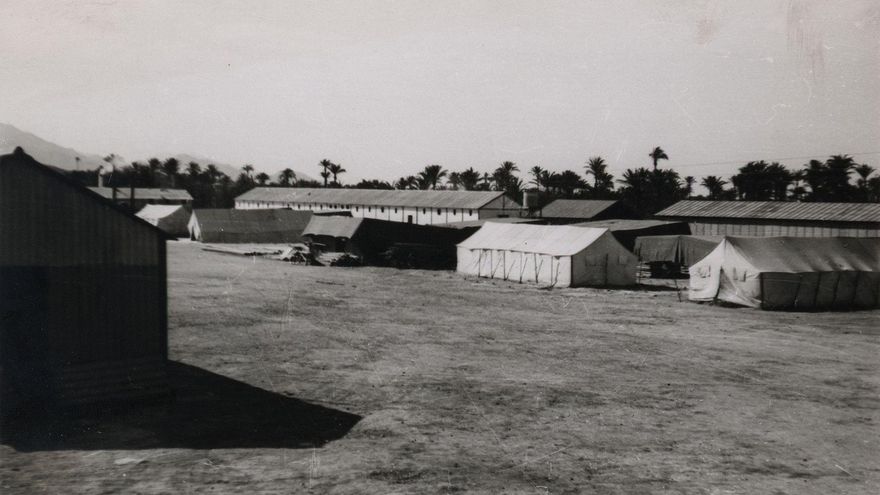 Vista general del campo de Albatera.