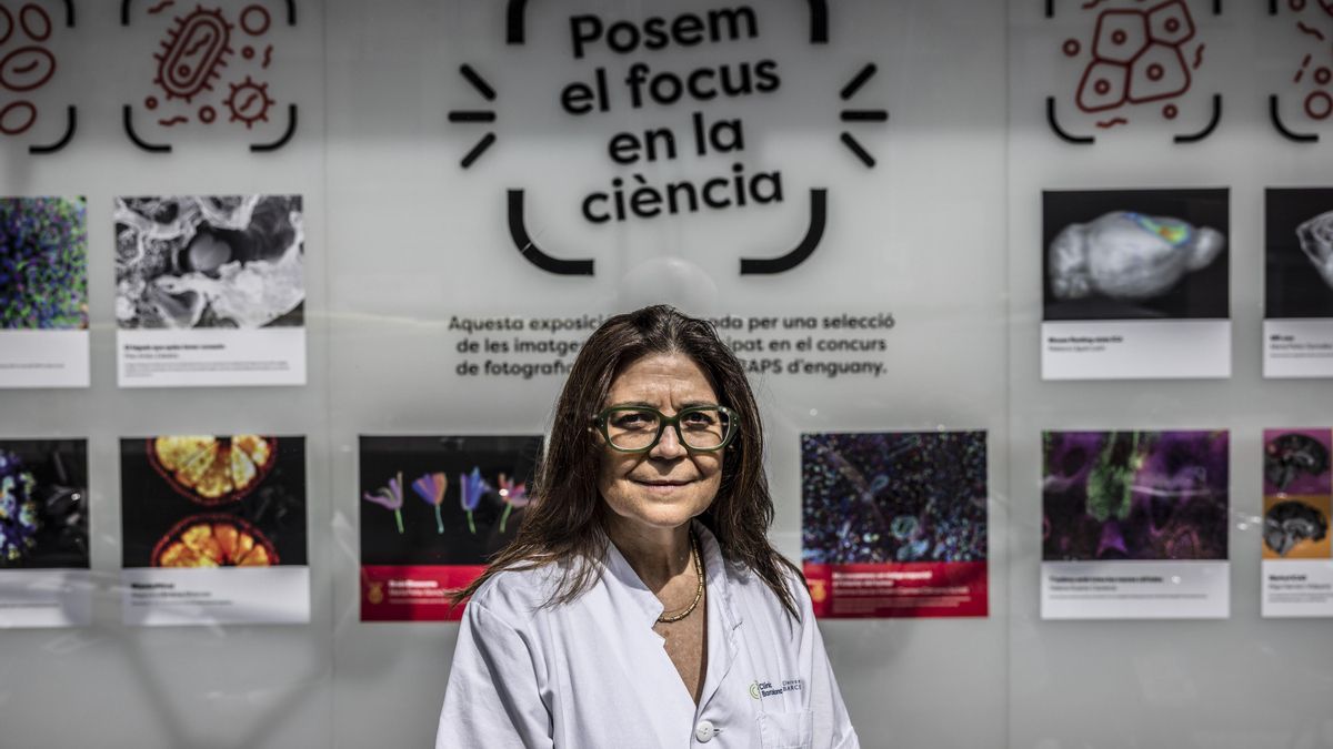 Susana Puig, nueva directora del IDIBAPS