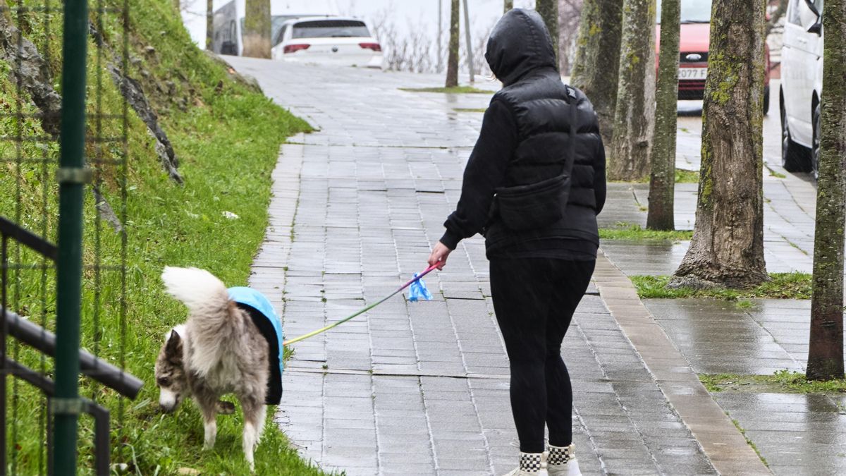 El tiempo cambia de cara en Madrid: la nubosidad crecerá y la Sierra podría recibir lluvias dispersas