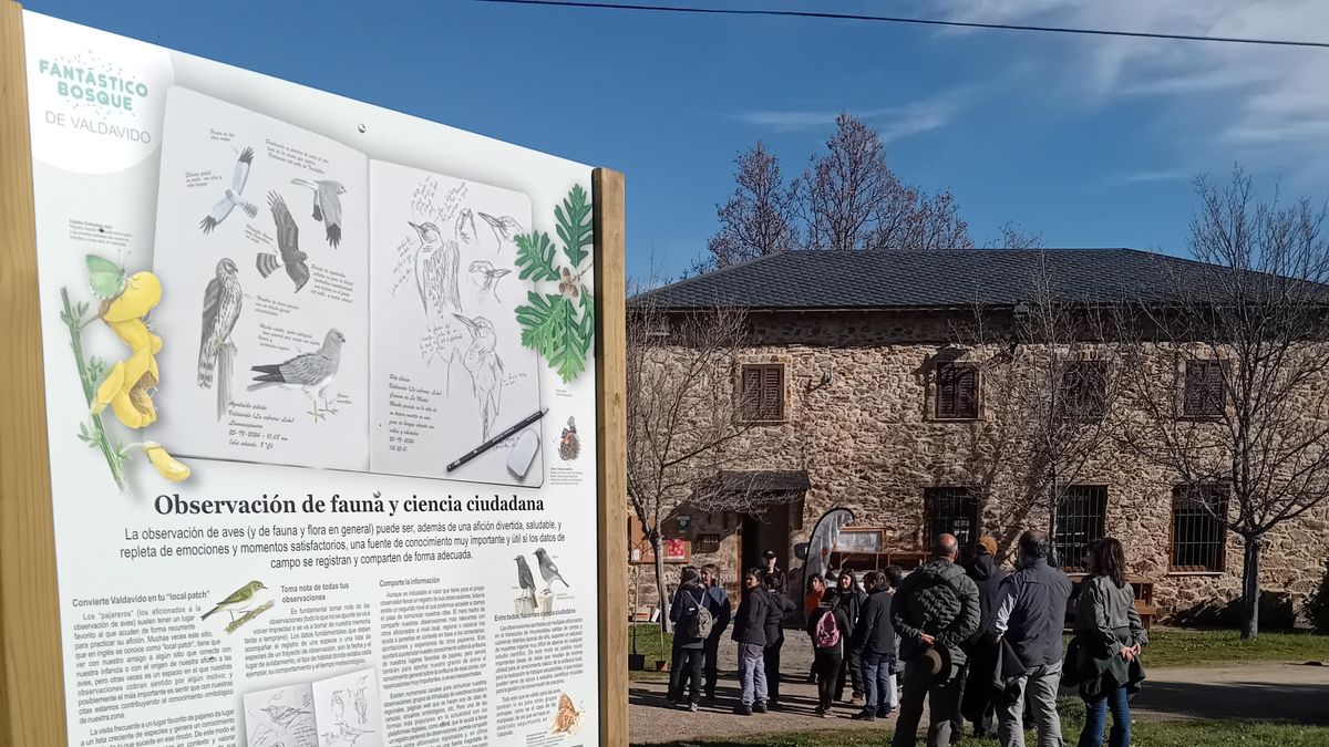 Paneles informativos de Fantástico Bosque de Valdavido, en Cabrera.