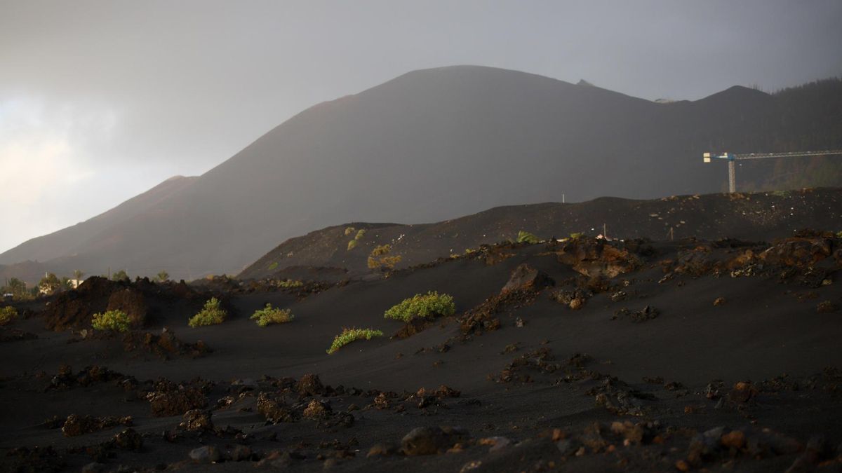 Imagen de acumulaciones de ceniza en el entorno del volcán Tajogaite.