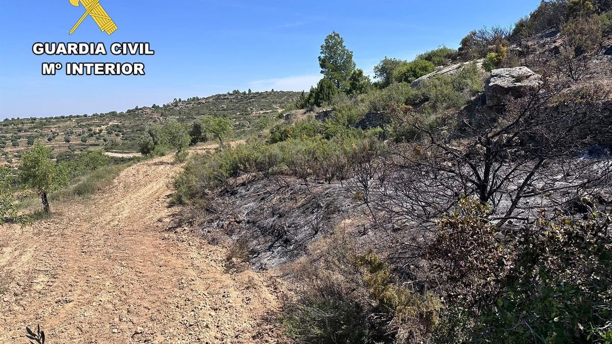 La Guardia Civil de Teruel investiga a una persona como presunta autora de un incendio forestal en Valdealgorfa