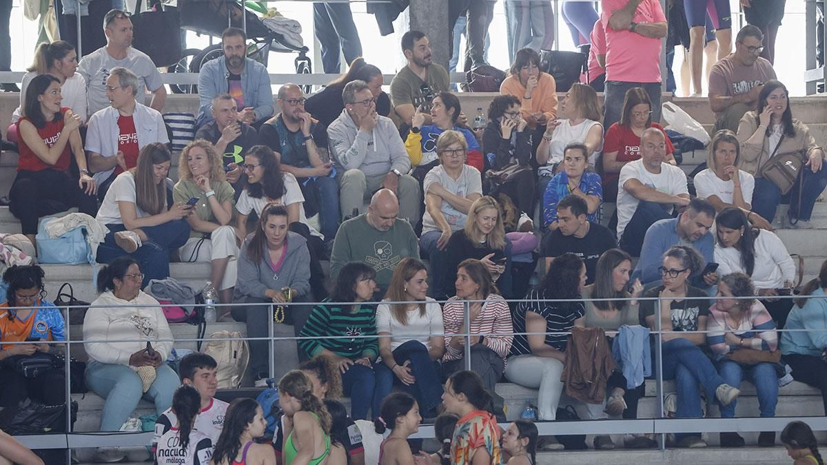 XV Trofeo Ciudad de Córdoba de Natación