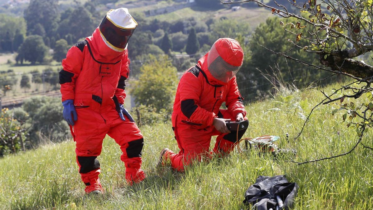 Dos especialistas se preparan para eliminar un nido de avispas.