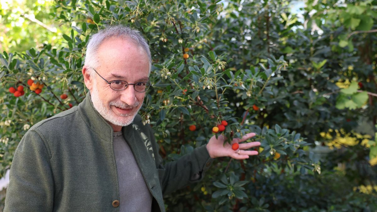 El neurobiólogo Stefano Mancuso explica que la plantas son seres inteligentes y sensibles.