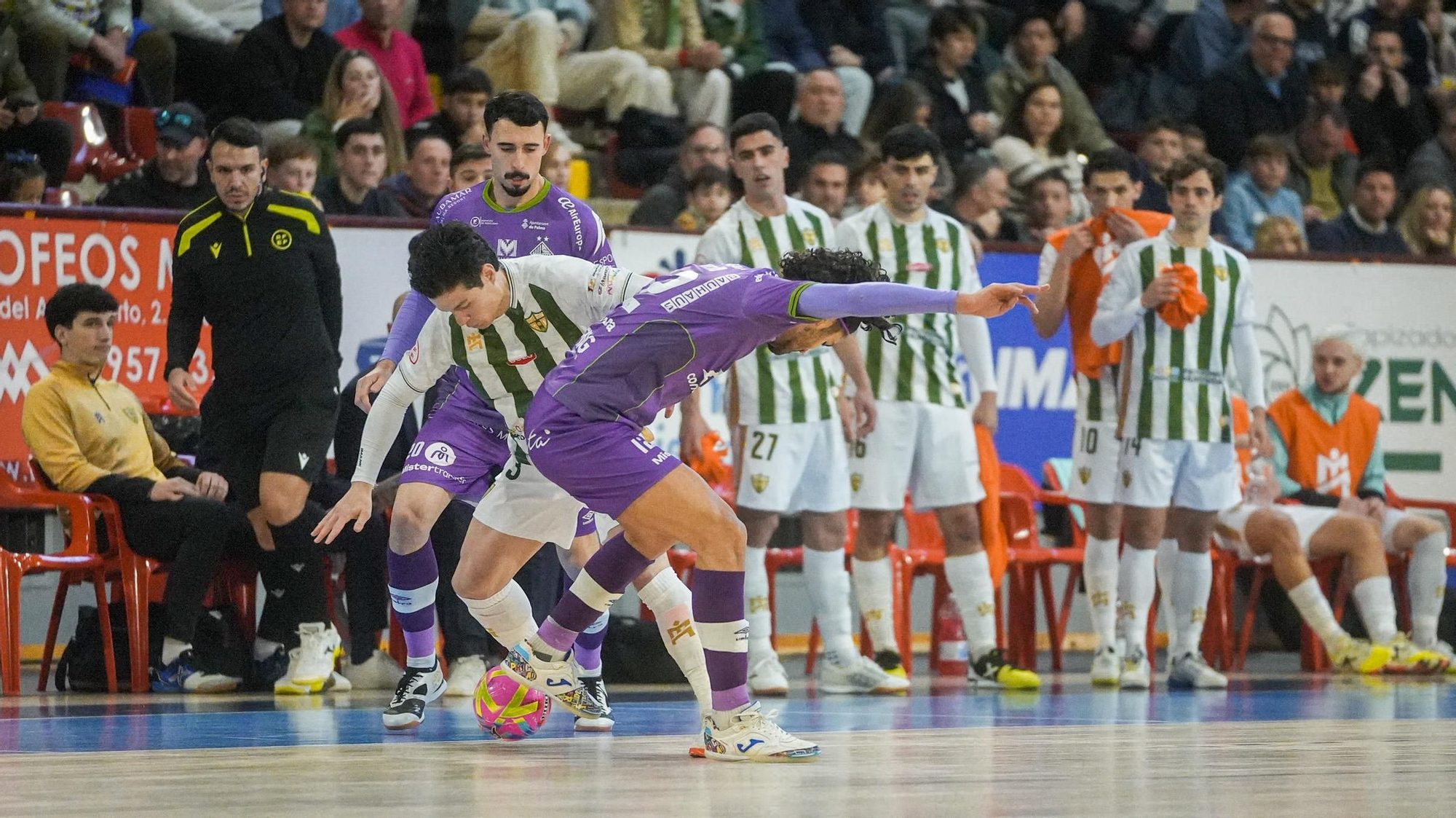 Córdoba Patrimonio de la Humanidad - Illes Balears Palma Futsal.