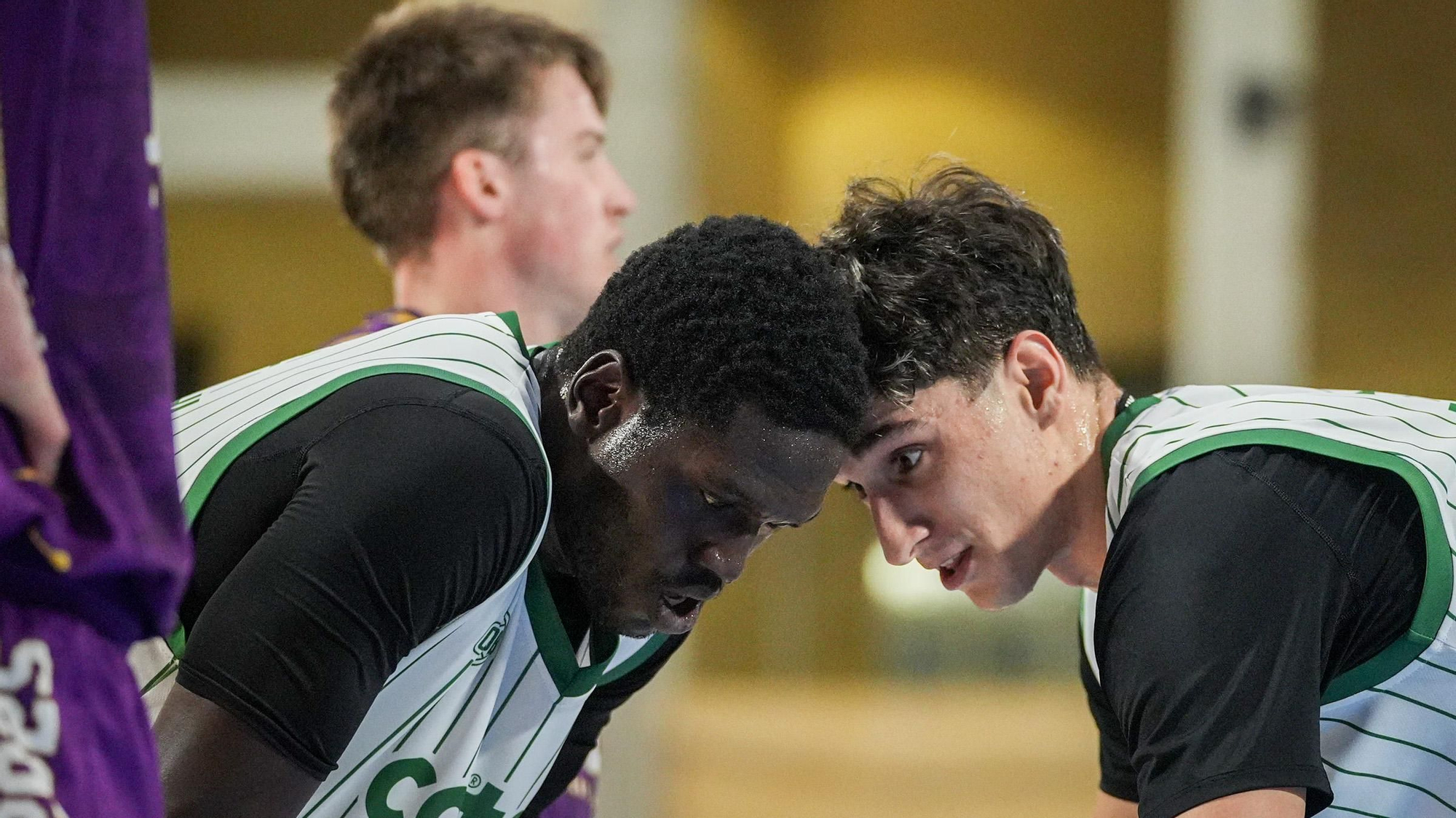 Coto Córdoba CB - Valladolid