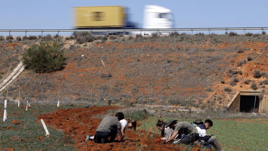 La España vacía también gana habitantes gracias a la inmigración: 40.000 más en dos años