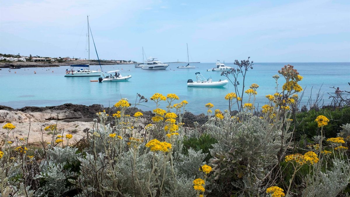 Varios barcos fondeados en la playa de Binibèquer, en Menorca