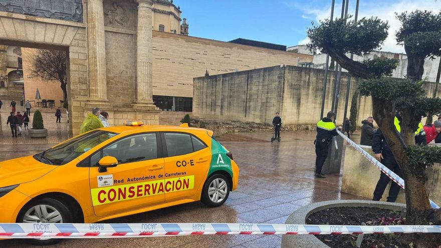 La actividad comercial y económica de Córdoba, paralizada: “Se están haciendo cajas como las del Covid”