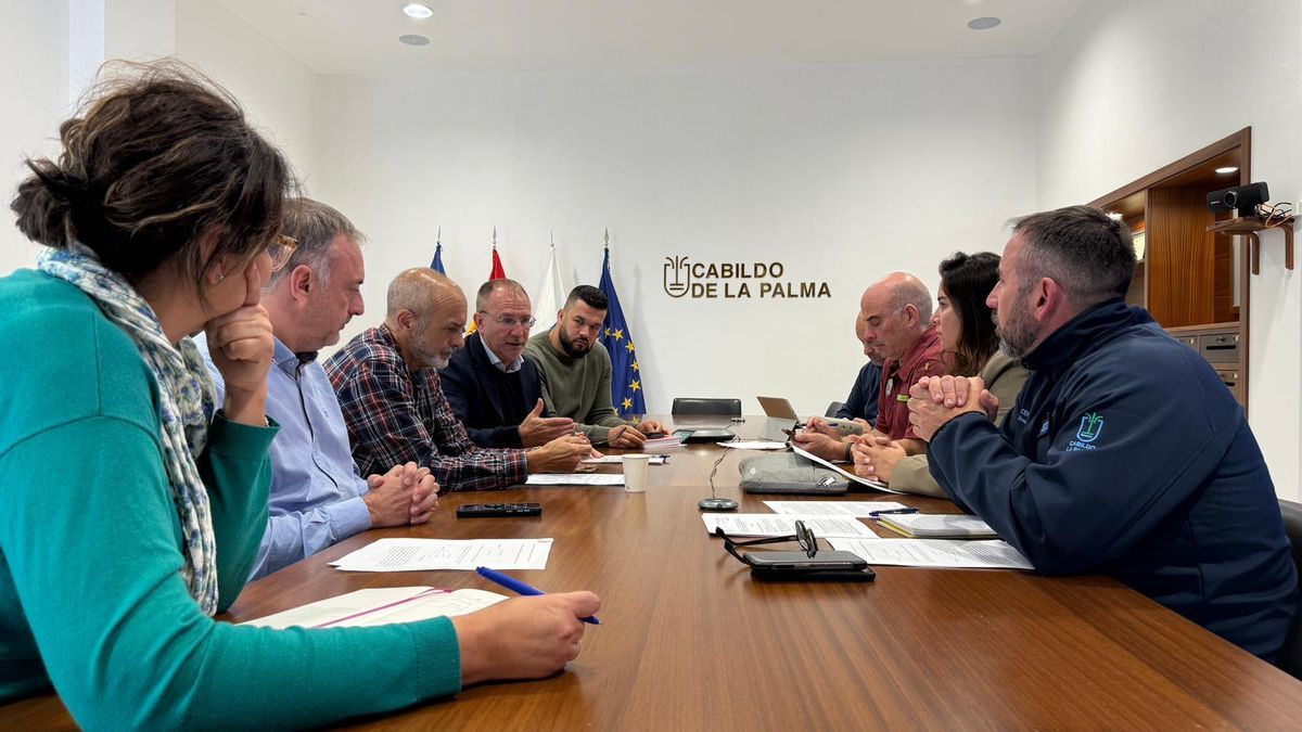 El Cabildo inicia los trámites para crear la Mesa Insular de Bienestar Animal