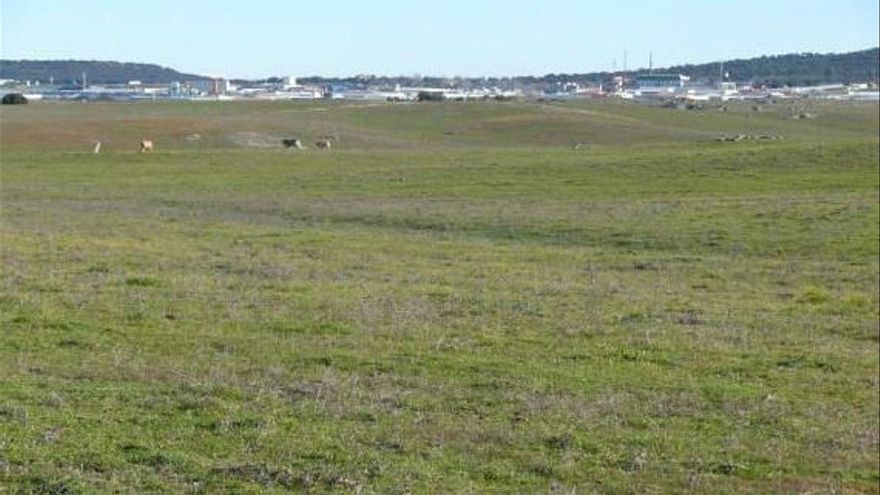 La Junta tira de una consultaría para estudiar las posibles ubicaciones de un aeródromo en Cáceres