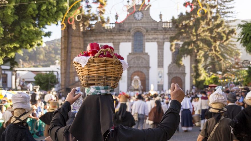 Todo listo en Teror para la 71ª Romería-Ofrenda del Pino