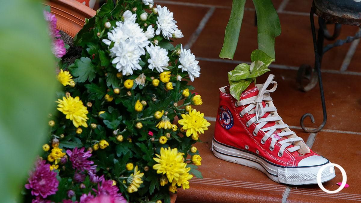 Patio Zarco, 15 - 2022