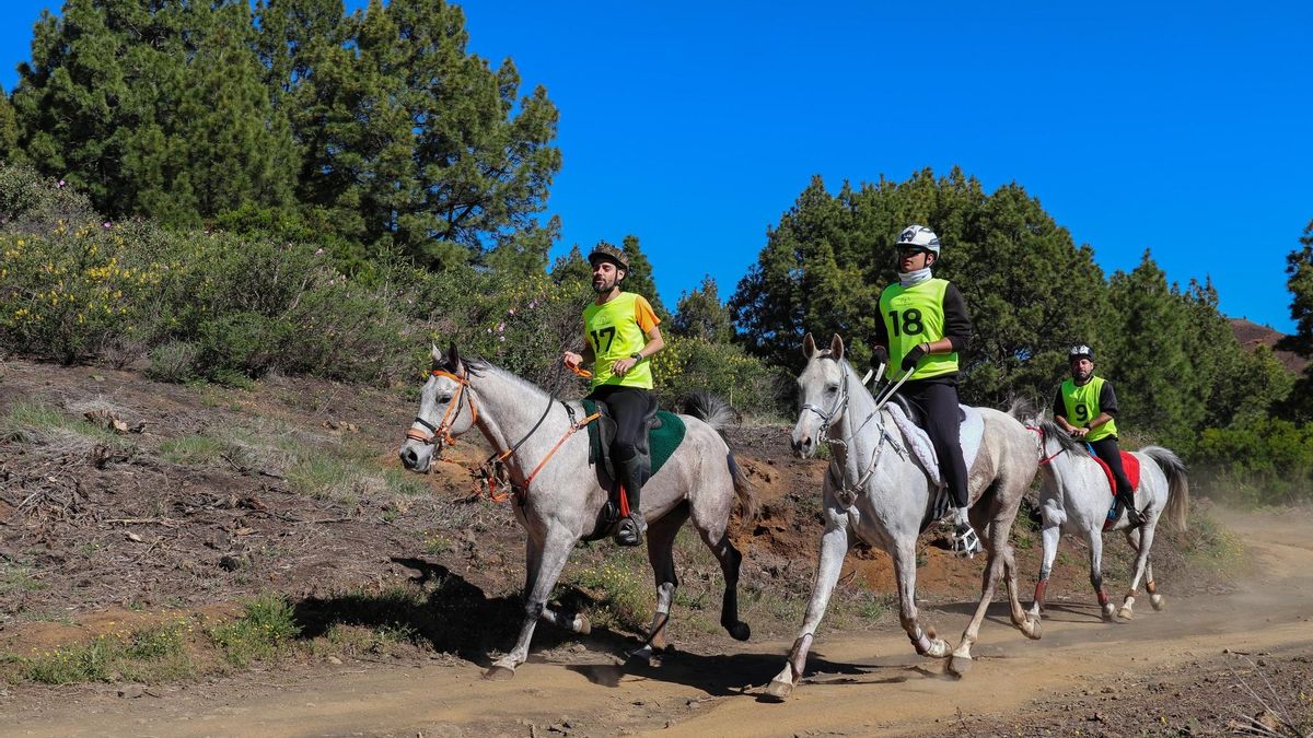 Evelyn Plata, Javier Brito y Erik Hernández consiguen la victoria en el II Raid Altos de Mazo.