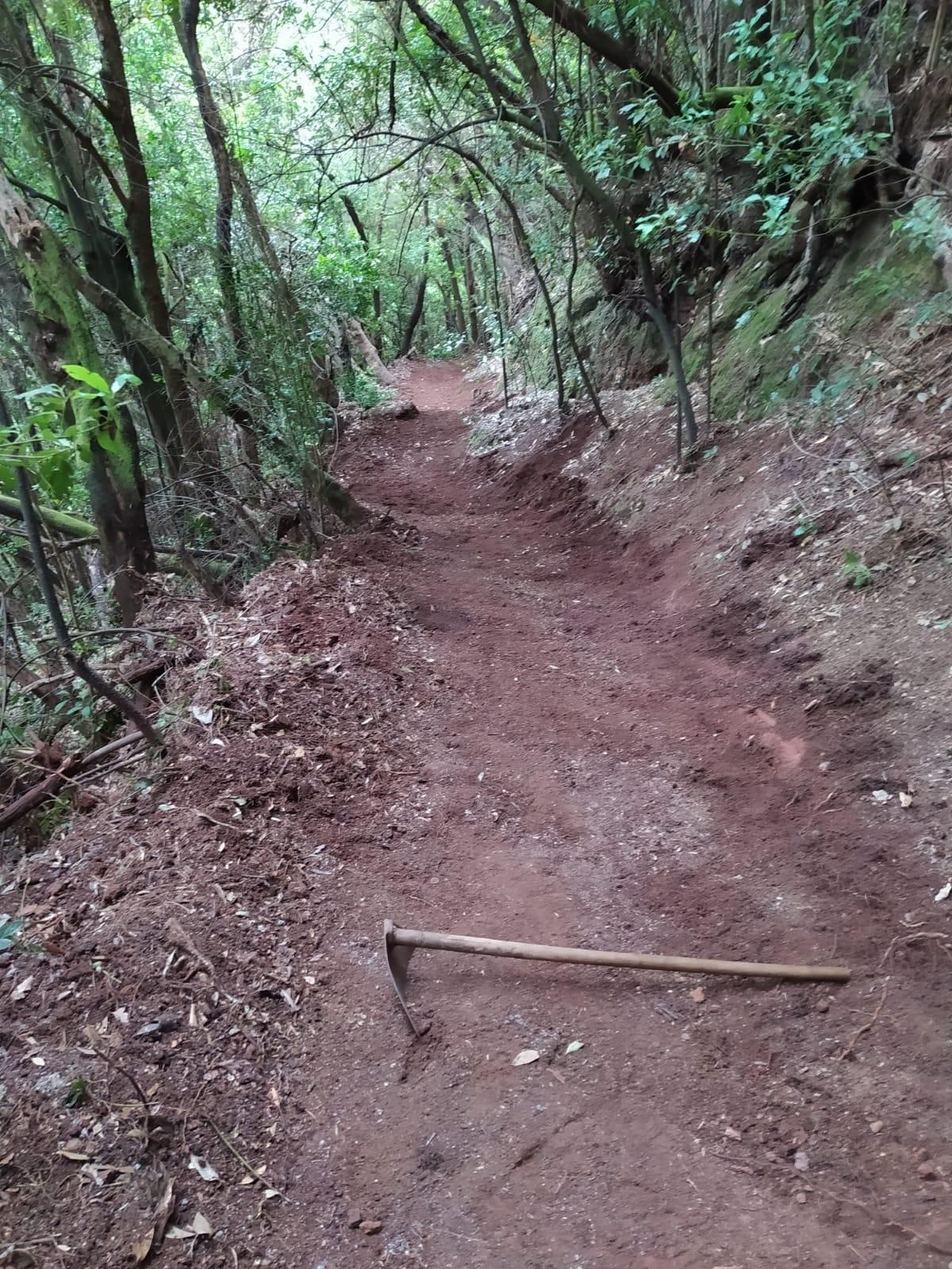 Camino ya recuperado para el tránsito.
