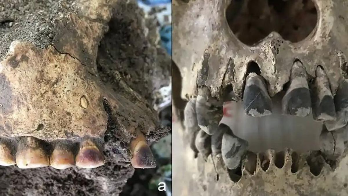 Los dientes oscuros marcaban la entrada en la edad adulta y diferenciaban a las personas de seres temidos