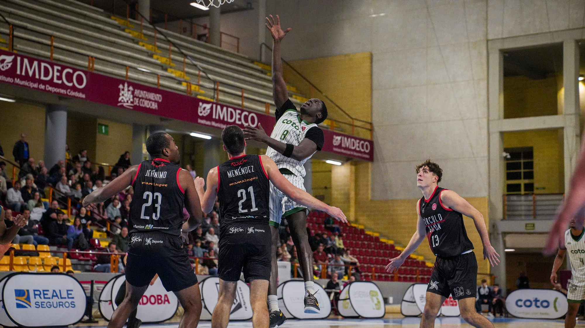 Coto Córdoba CB - Círculo Gijón Baloncesto