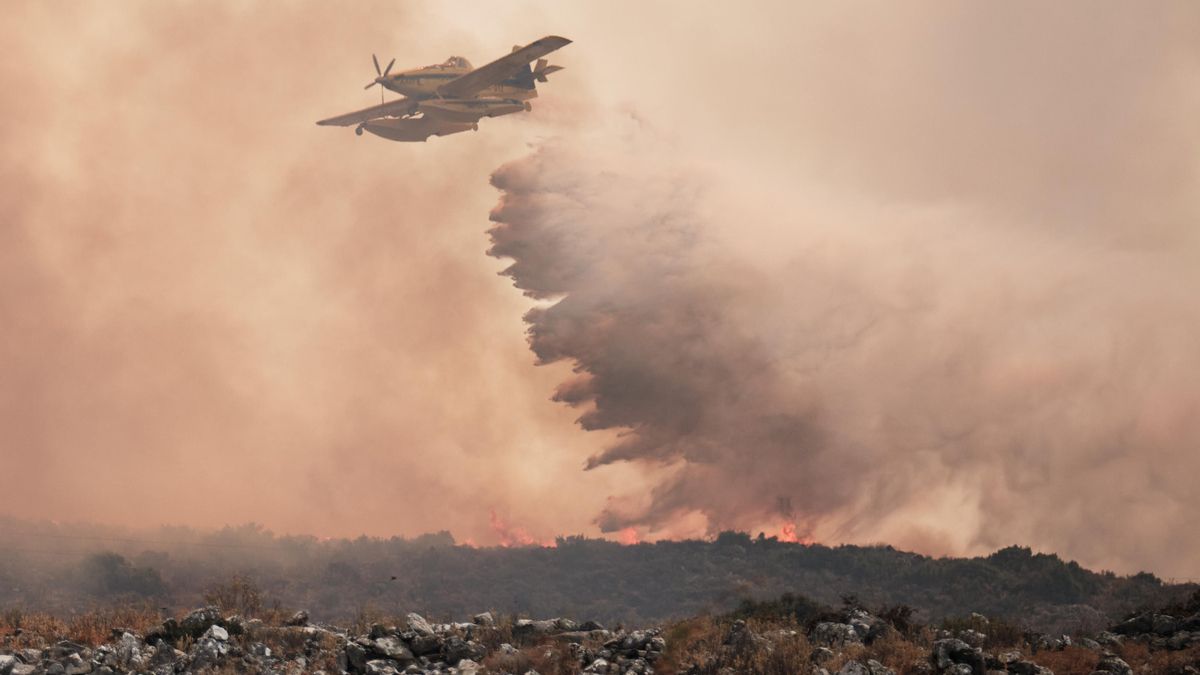 Asaja dice que Page "se precipitó" y afirma que no hay acuerdo para compatibilizar prevención de incendios y cosechar