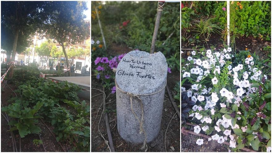 Espacio autogestionado por vecinos