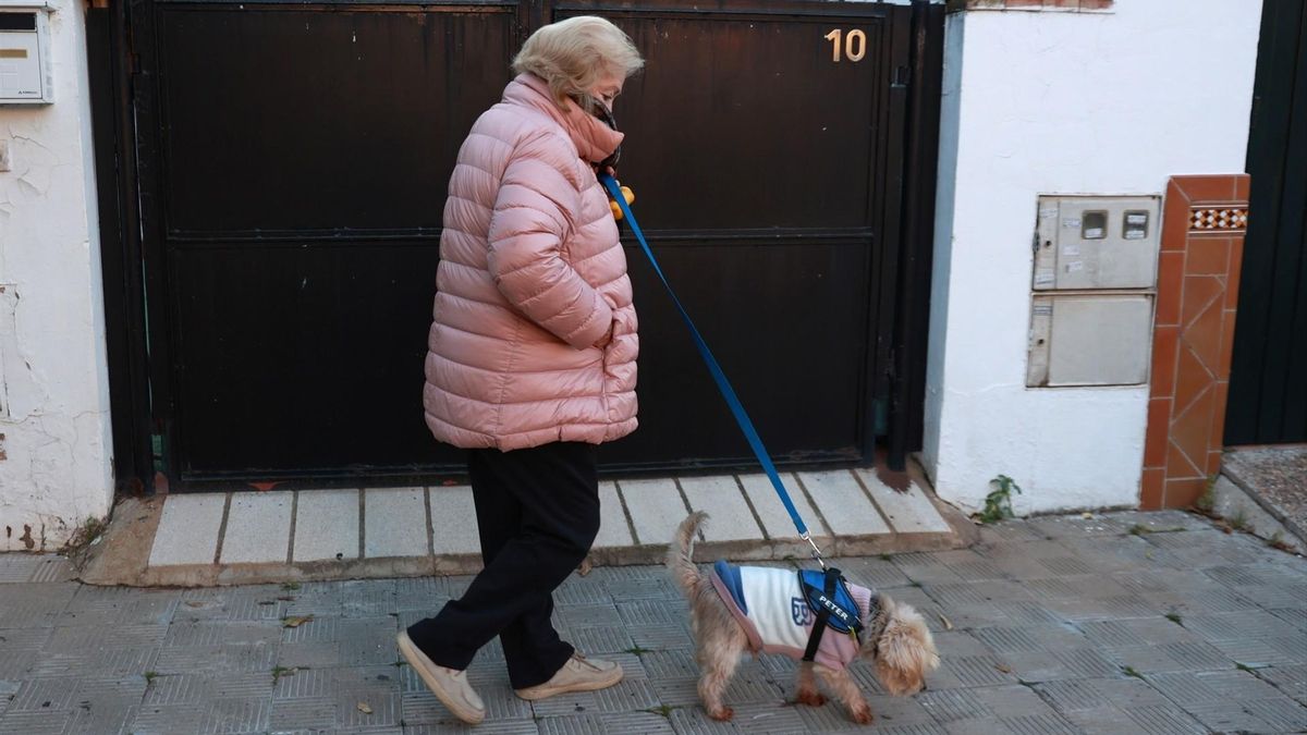 El frío será el gran protagonista de la semana meteorológica en Sevilla