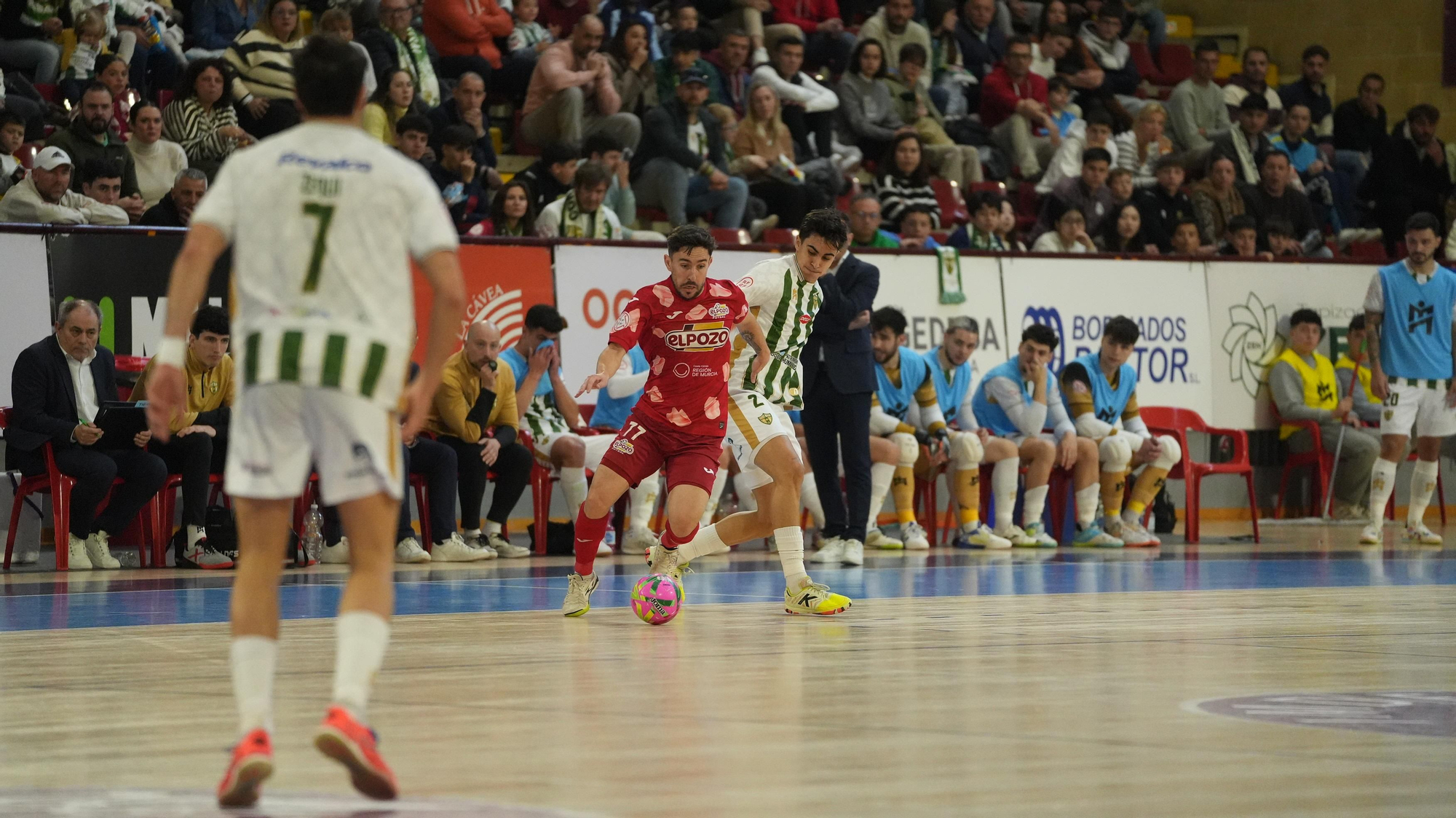 Las imágenes del Córdoba Patrimonio - ElPozo Murcia