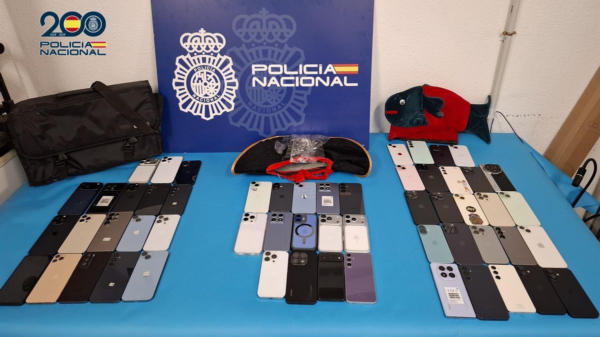 Detenidos en Madrid los dos presuntos autores del robo de 56 móviles de alta gama en el Carnaval de Tenerife