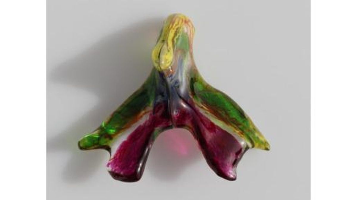 Modelo impreso en 3D del clítoris basado en el trabajo de la investigadora Ju Young Lee