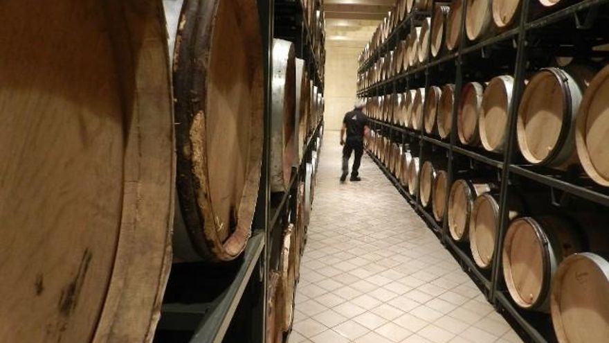 Jesús Caramazana 'Chus', encargado de bodega, paseando entre barricas.