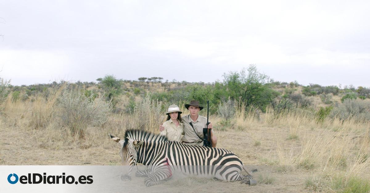 'Safari': el placer de matar animales