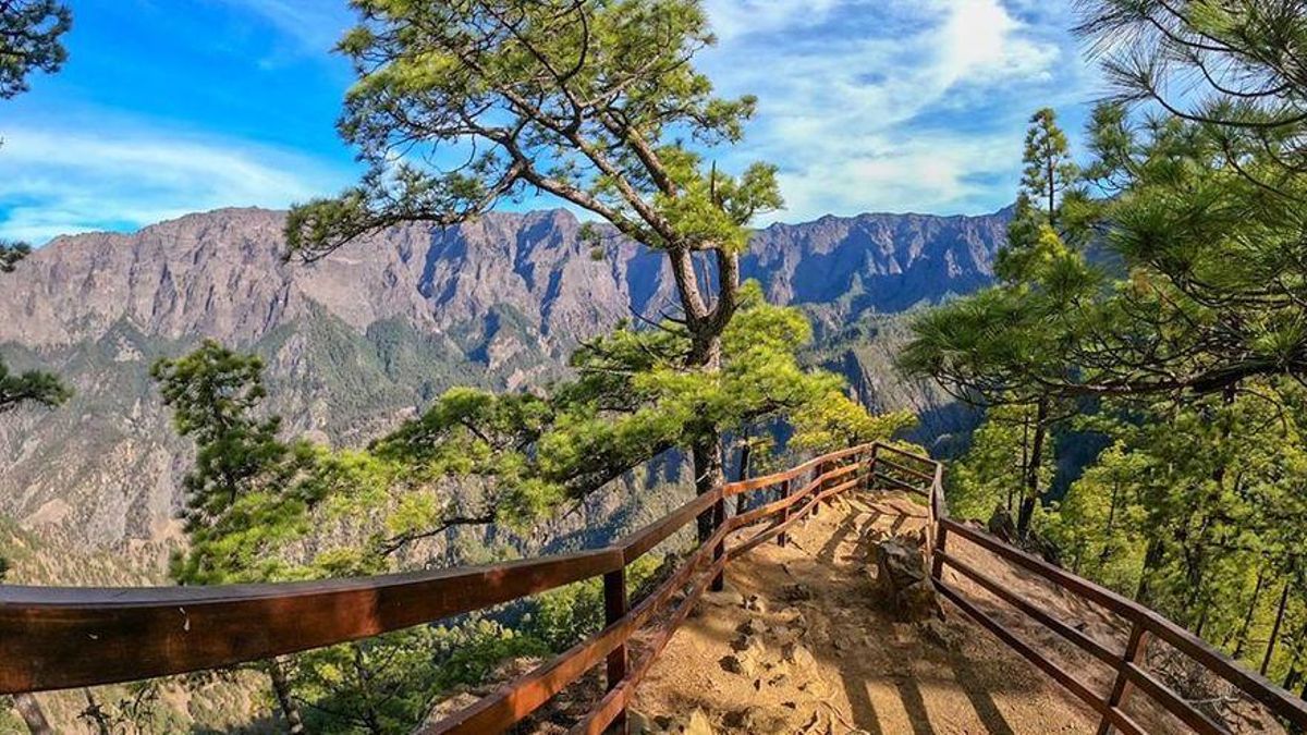 Mirador del Lomo de las Chozas, en el Parque Nacional de la Caldera de Taburiente.