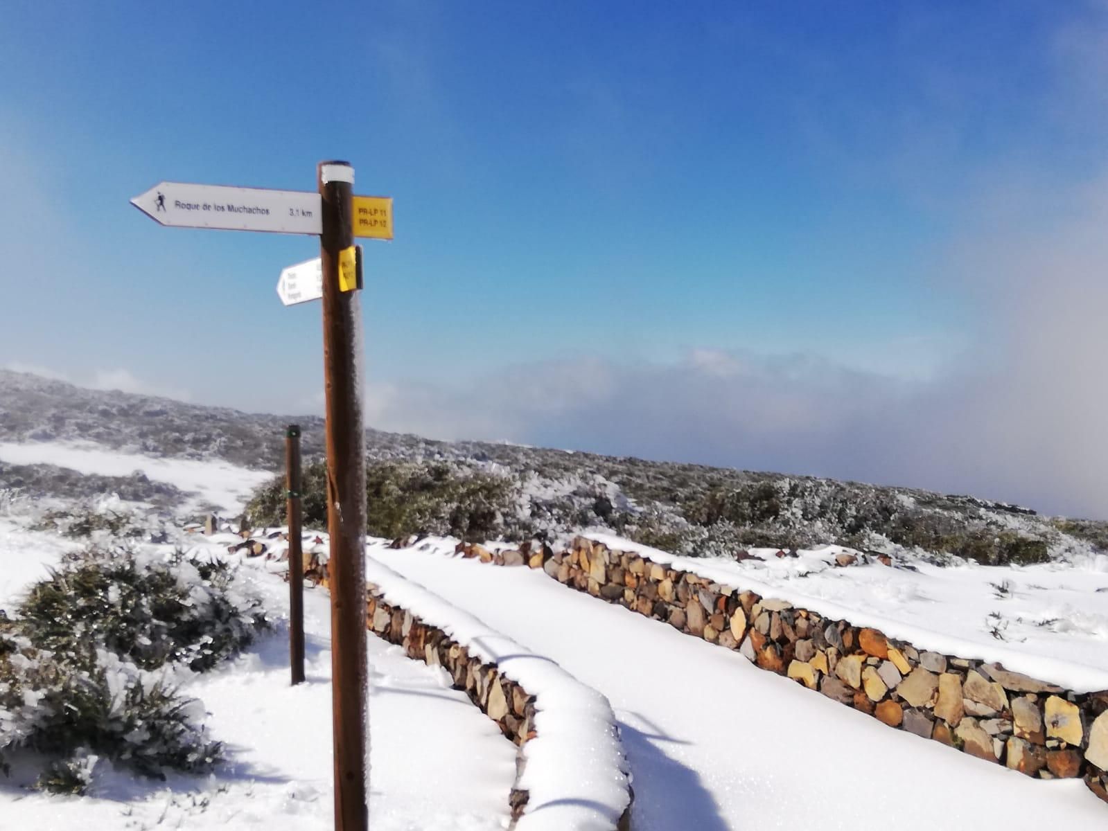 Camino al Roque de Los Muchachos, este lunes, 11 de enero de 2021