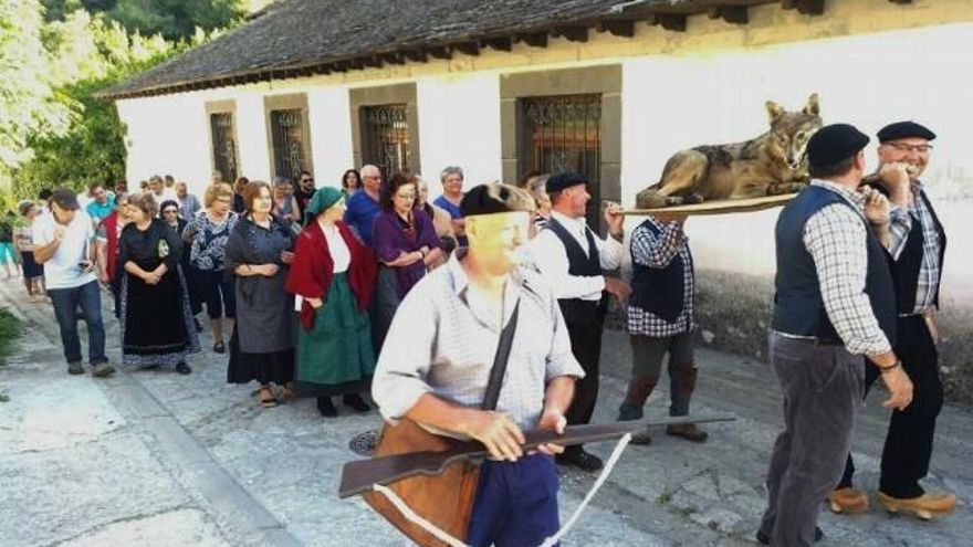 Pasacalles del calecho del lobo en Rioscuro de Laciana