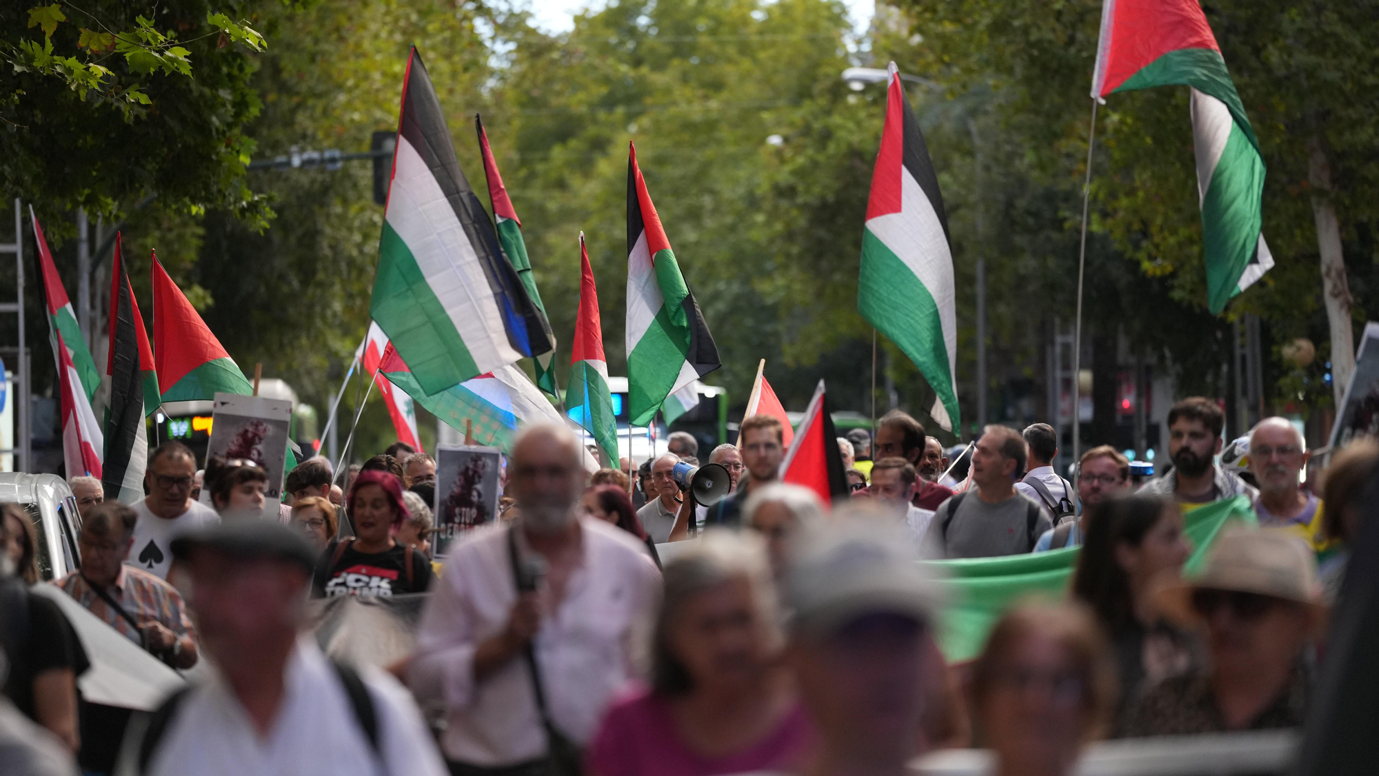 Manifestantes participan en Córdoba en una marcha en solidaridad con Palestina