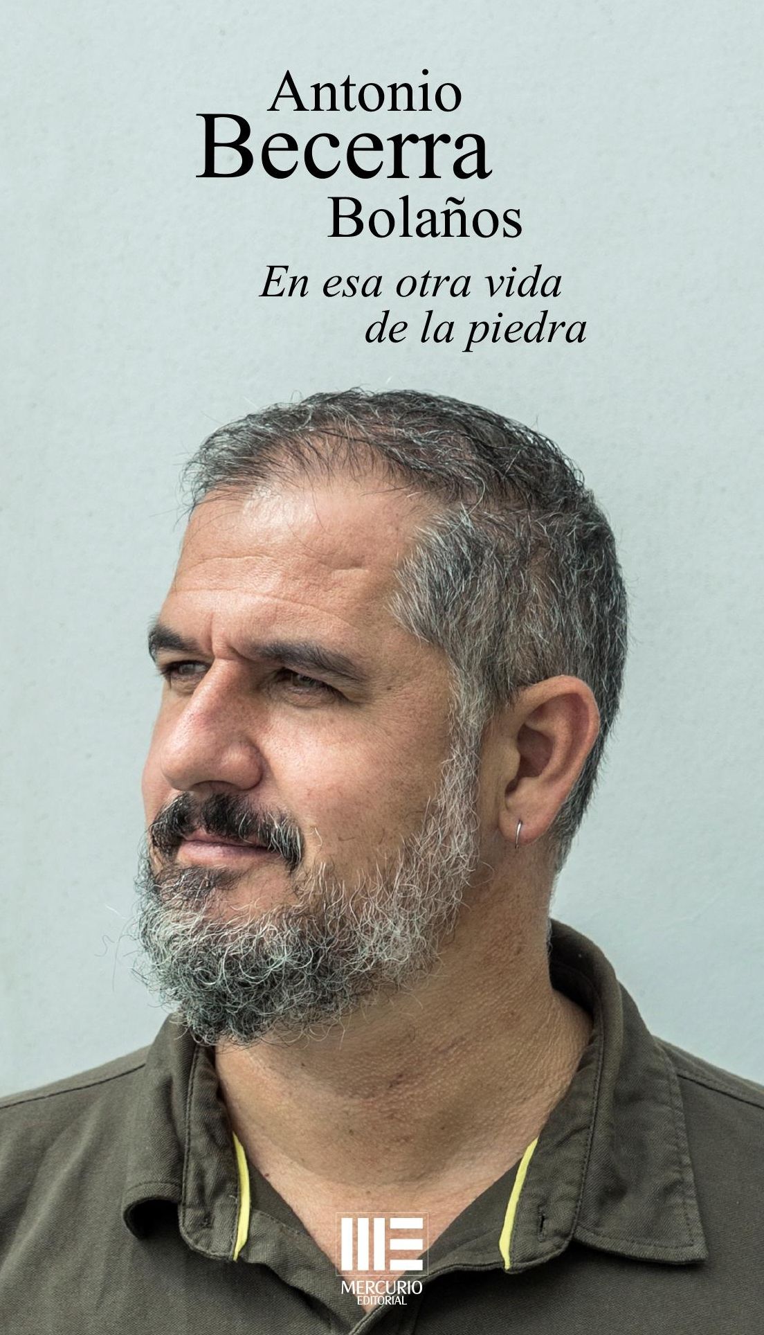 Cubierta del libro 'En esa otra vida de la piedra', de Antonio Becerra Bolaños.