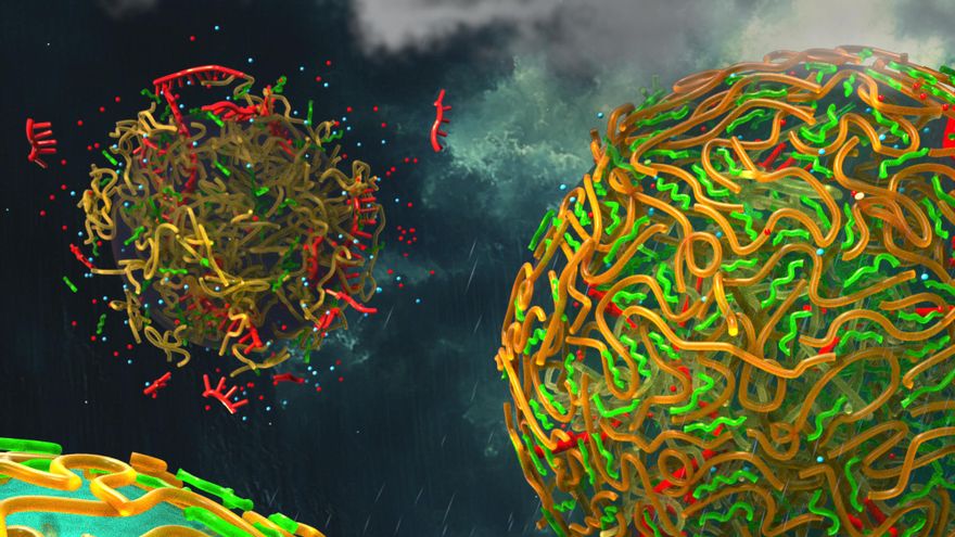 ¿Ayudó el agua de lluvia al origen de la vida? Un ingenioso experimento recupera una teoría de hace 100 años