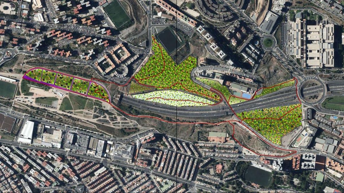 Proyecto del barranco de La Ballena, en Las Palmas de Gran Canaria