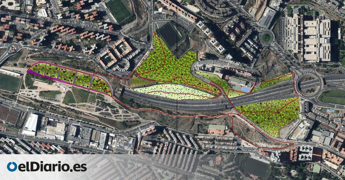 El Ayuntamiento de Las Palmas licita la renaturalización del Barranco de La Ballena